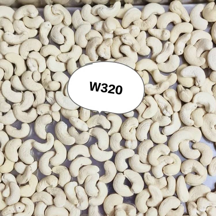 W320 Cashew